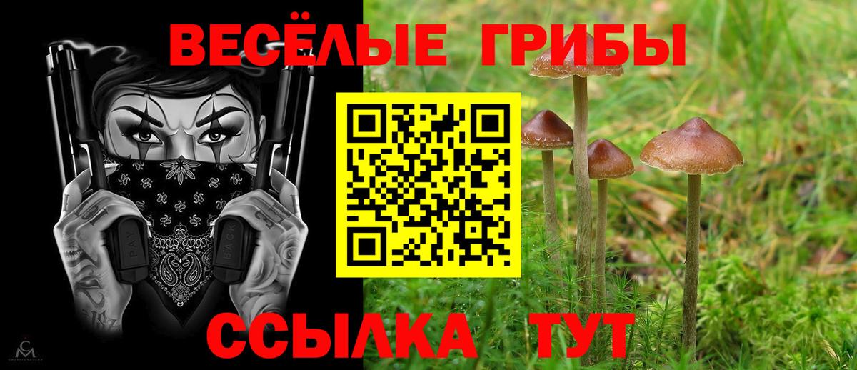 Кокаин Отрадное