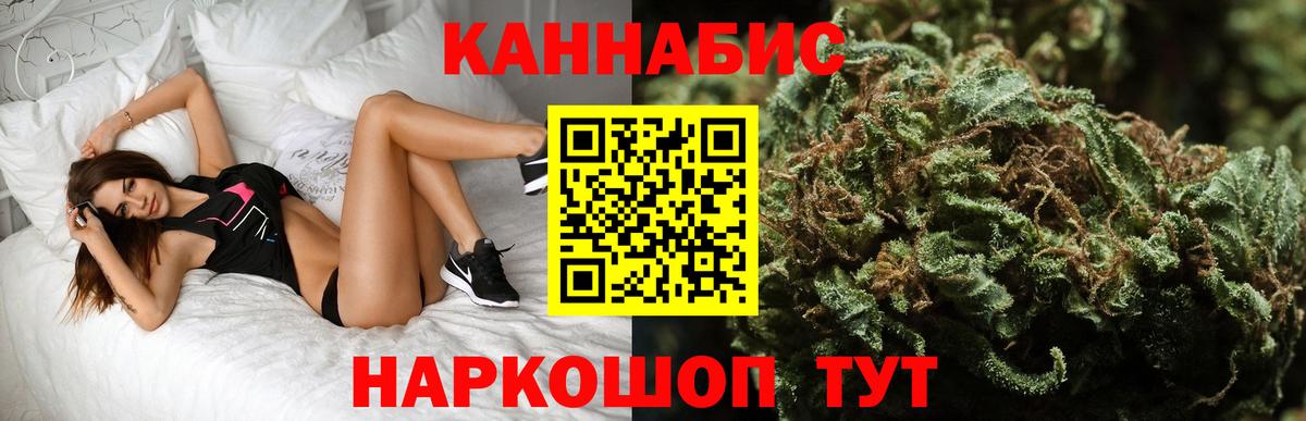 Канабис OG Kush Отрадное